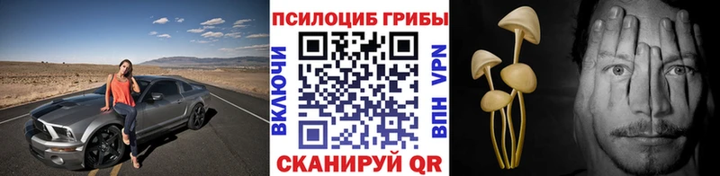 даркнет сайт  Нижнекамск  Псилоцибиновые грибы Psilocybe 